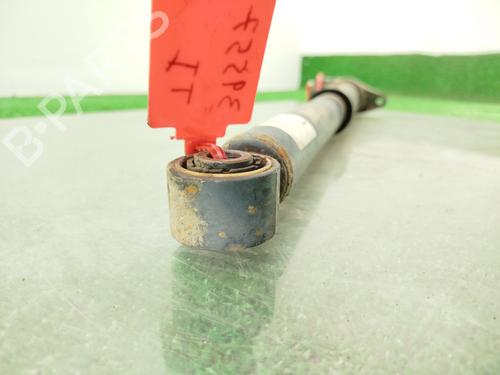 Left rear shock absorber VW TIGUAN (5N_)  | BP29815620M18