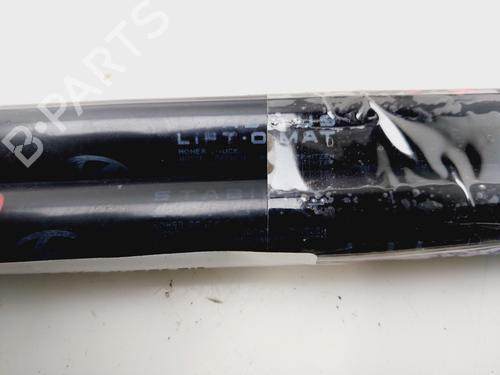 Tailgate lift support HYUNDAI i20 I (PB, PBT) | BP31116240C138