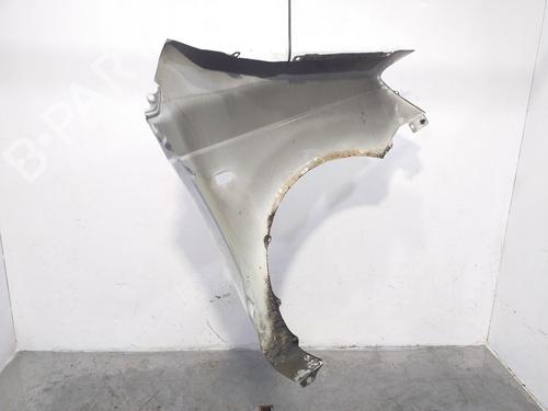 Left front fenders HYUNDAI GETZ (TB) 1.1 | BP17906955C41 