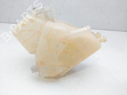 Expansion tank FORD FIESTA VI (CB1, CCN) 1.25 | BP13875873C120 