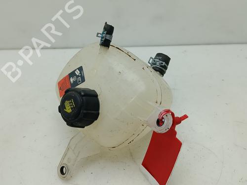 Used Expansion tank RENAULT AUSTRAL [2022-2025]  30660555