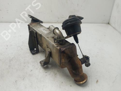 Egr RENAULT KOLEOS I (HY_) 2.0 dCi (HY0K) | BP26650010M69 