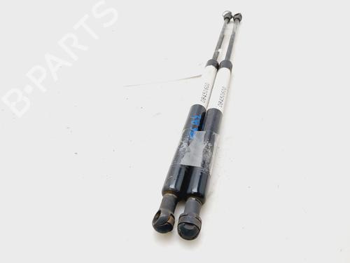 Tailgate lift support SKODA FABIA I (6Y2)  | BP26719506C138 