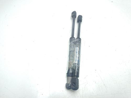 Hood lift support RENAULT SCÉNIC III (JZ0/1_) | BP24496795C139