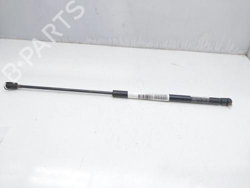 Used Hood lift support CITROËN XSARA (N1) 2.0 HDi 90 (90 hp) 14007738