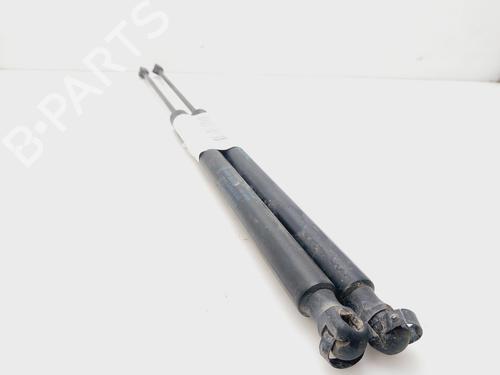 Tailgate lift support FORD KUGA I  | BP19525094C138 