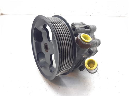 Styring servopumpe LAND ROVER DISCOVERY III (L319) 2.7 TD 4x4 | BP10918977M99 