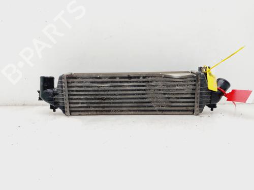 Intercooler NISSAN ALMERA II (N16) 2.2 dCi | BP19152817M30 