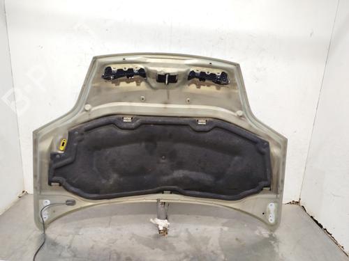 Motorhaube RENAULT SCÉNIC I MPV (JA0/1_, FA0_) 1.9 dTi (JA0N) | BP29565448C1 
