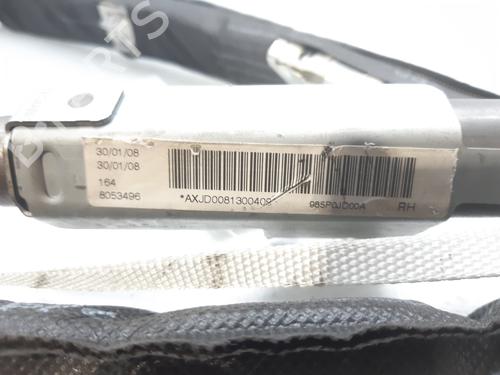 Right curtain airbag NISSAN QASHQAI / QASHQAI +2 I (J10, NJ10, JJ10E) 2.0 | BP10333193C12 