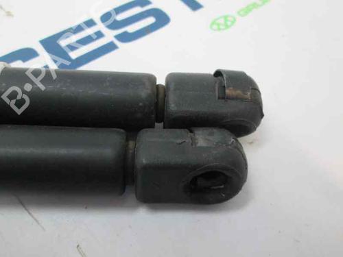 Tailgate lift support CITROËN XSARA Break (N2)  | BP14010120C138 