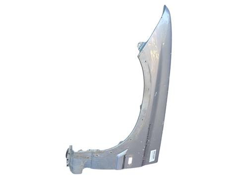 Left front fenders SSANGYONG MUSSO (FJ) 2.9 D | BP25846471C41 