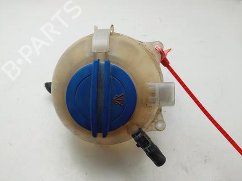 Used Expansion tank SEAT IBIZA IV (6J5, 6P1) [2008-2017]  24592932
