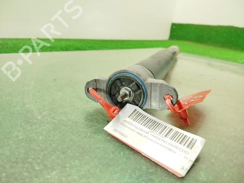 Right rear shock absorber FORD KUGA II (DM2)  | BP29815621M19