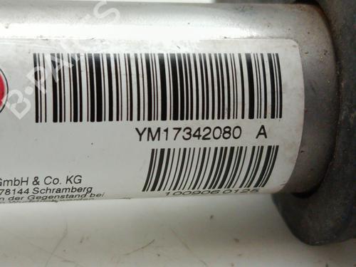 Hinge/Door check strap PEUGEOT RCZ 1.6 16V | BP29582344C146 