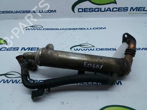 Egr OPEL ASTRA H (A04) 1.7 CDTI (L48) | BP13990299M69 