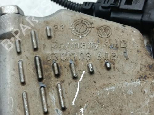 Oil sump SEAT LEON (1P1) 1.4 TSI | BP30539819M115