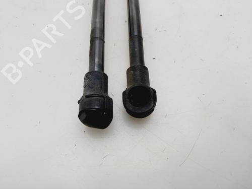 Tailgate lift support AUDI A3 (8P1) 1.9 TDI | BP29584506C138 