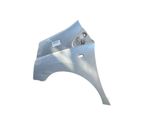 Left front fenders CITROËN JUMPY II (VF7) 2.0 HDi 120 | BP29943118C41