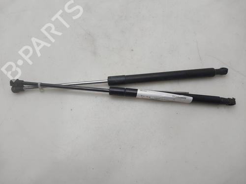 Used Tailgate lift support Tailgate lift support RENAULT CLIO III (BR0/1, CR0/1) [2005-2014] 39691658 39691658