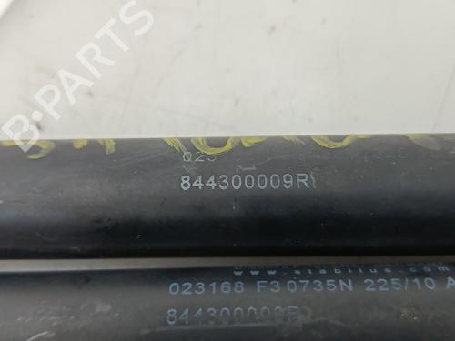 Tailgate lift support RENAULT MEGANE III Grandtour (KZ0/1)  | BP29398935C138 
