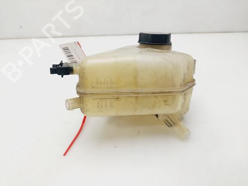 Used Expansion tank FORD FIESTA VI (CB1, CCN) 1.6 TDCi (95 hp) 25709831