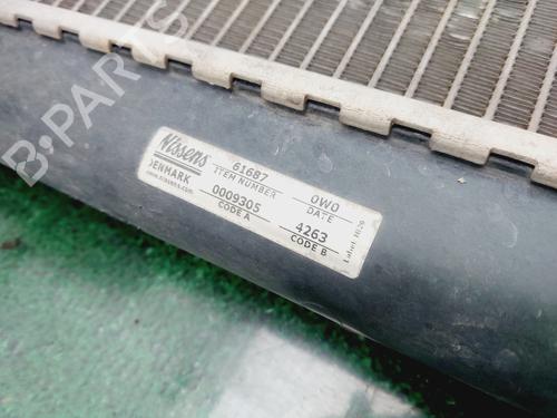 Water radiator CHEVROLET AVEO / KALOS Hatchback (T250, T255)  | BP29810725M31 