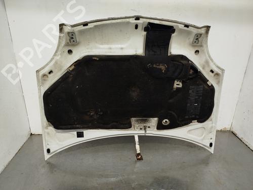 Hood RENAULT KANGOO (KC0/1_) 1.9 dCi 4x4 | BP32162311C1