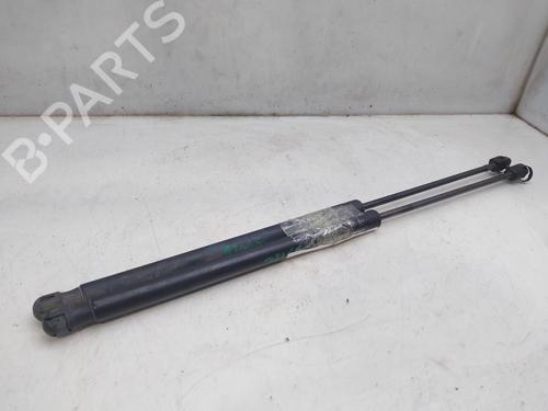 Tailgate lift support FORD FIESTA VI (CB1, CCN) 1.25 | BP16344717C138 