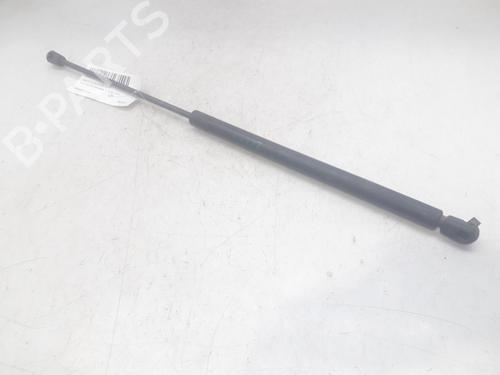 Used Hood lift support SEAT TOLEDO II (1M2) 1.9 TDI (110 hp) 14004291
