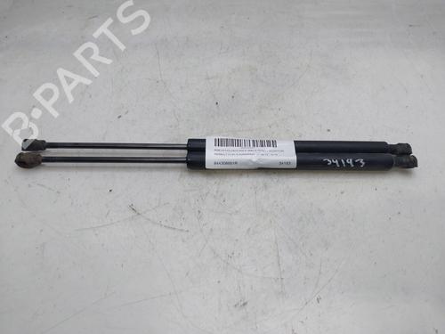 Tailgate lift support RENAULT CLIO IV (BH_)  | BP18033287C138 