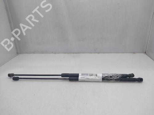 Used Tailgate lift support OPEL CORSA D (S07) 1.3 CDTI (L08, L68) (75 hp) 17719339