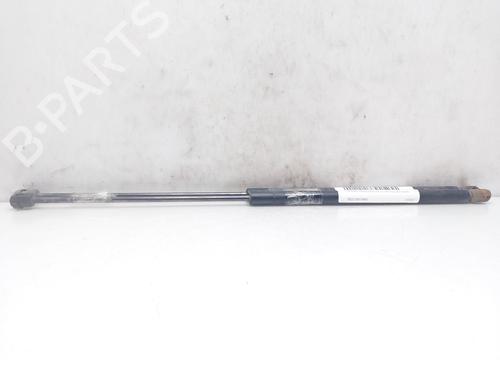 Tailgate lift support CITROËN XSARA Coupe (N0) 2.0 HDI 90 | BP14009401C138 