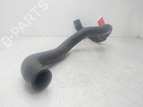 Pipe DACIA SANDERO III | BP29572596M125