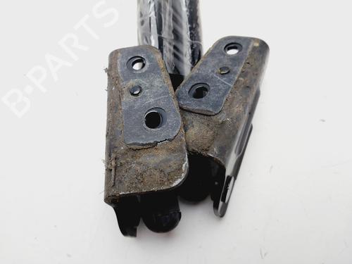 Tailgate lift support FORD FOCUS III  | BP29335134C138 