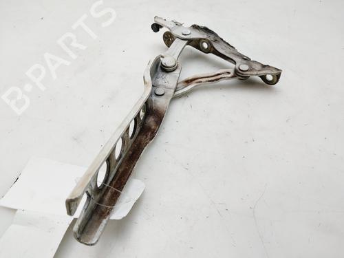 Hinge/Door check strap SKODA OCTAVIA II (1Z3) 1.9 TDI | BP21550169C146 