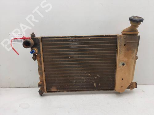 Radiatore acqua PEUGEOT 106 II (1A_, 1C_) 1.1 i (60 hp) 17721853