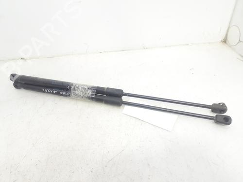 Tailgate lift support FORD KUGA I  | BP14004870C138 