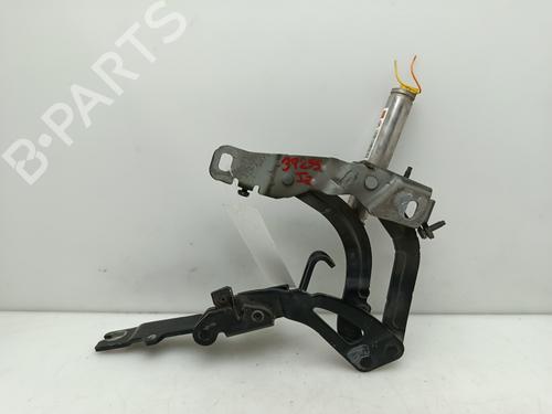 Hinge/Door check strap PEUGEOT RCZ 1.6 16V | BP29582344C146 
