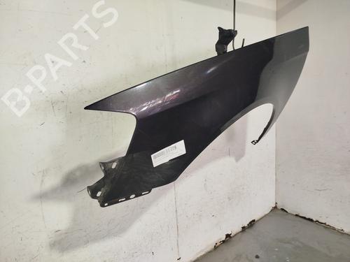 Left front fenders VW PASSAT B6 (3C2)  | BP29705828C41 