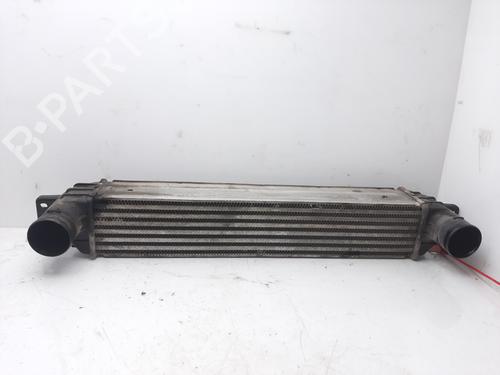 Used Intercooler CHEVROLET CAPTIVA (C100, C140) 2.0 D (150 hp) 13623750