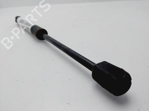 Hood lift support LAND ROVER RANGE ROVER EVOQUE (L538)  | BP25880295C139 