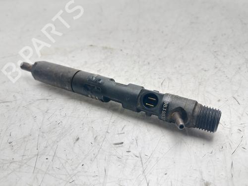 Injector RENAULT CLIO III (BR0/1, CR0/1)  | BP30336587M100 