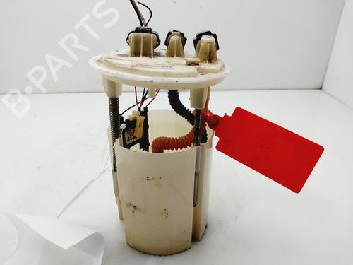 Fuel pump RENAULT MEGANE III Hatchback (BZ0/1_, B3_) 1.5 dCi | BP25845886M76 