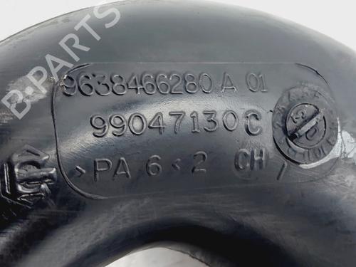 Pipe CITROËN XSARA PICASSO (N68) 2.0 HDi | BP29078480M125