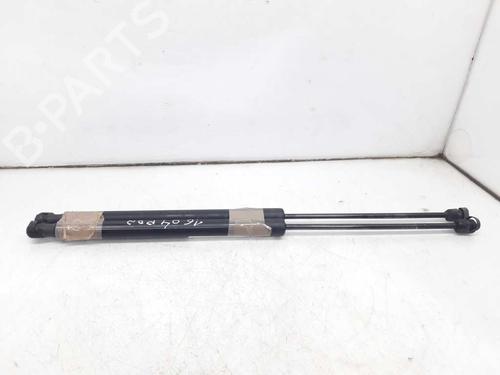 Used Tailgate lift support FORD B-MAX (JK) 1.0 EcoBoost (100 hp) 17327628