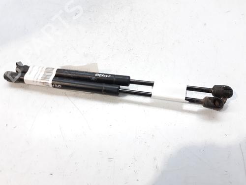 Used Tailgate lift support RENAULT MEGANE II Saloon (LM0/1_) [2003-2025]  14001875