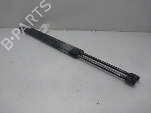 Tailgate lift support MERCEDES-BENZ M-CLASS (W164) ML 280 CDI 4-matic (164.120) | BP16353548C138 