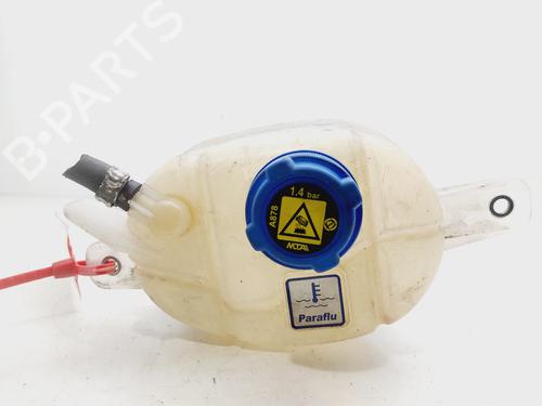 Used Expansion tank FIAT QUBO (225_) 1.3 D Multijet (225AXE1A, 225CXE1A, 225AXH1A, 225AXL1A,... (95 hp) 26927278