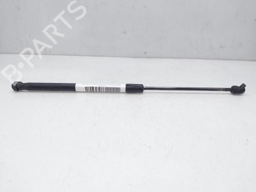Used Tailgate lift support MERCEDES-BENZ A-CLASS (W169) A 160 (169.031, 169.331) (95 hp) 14009688